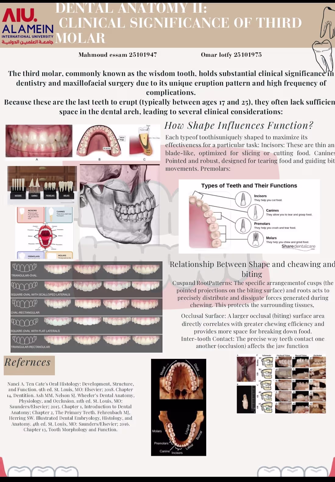 Cover image for I am a detail-oriented freelancer
