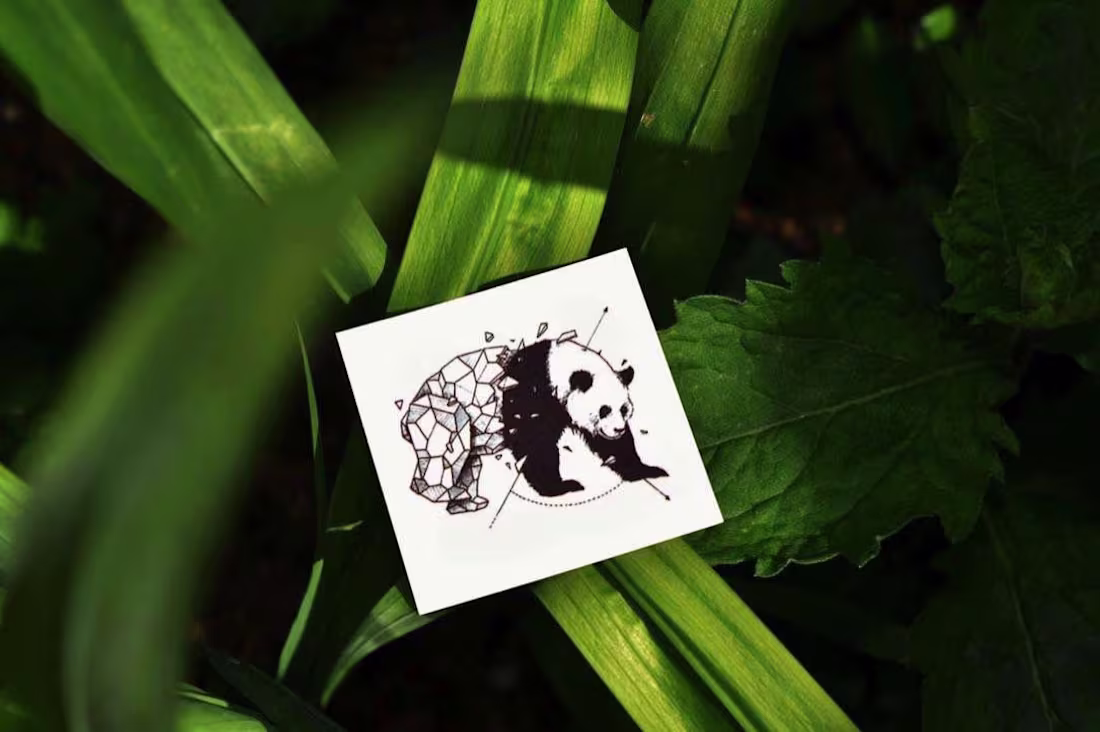 Cover image for Marketing Photography - Squid ink a online temporary tattoo ...