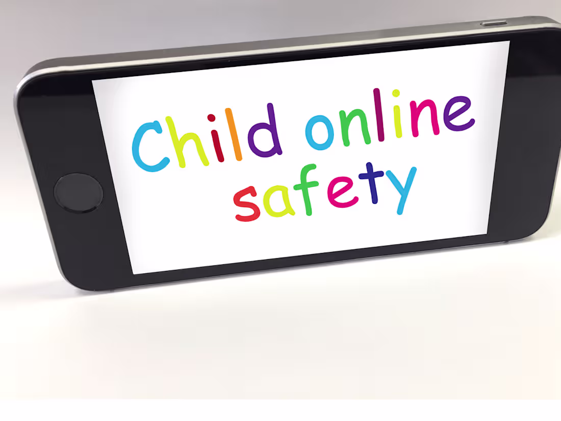 Cover image for The Dangers of Unsupervised Internet Access for Young Children