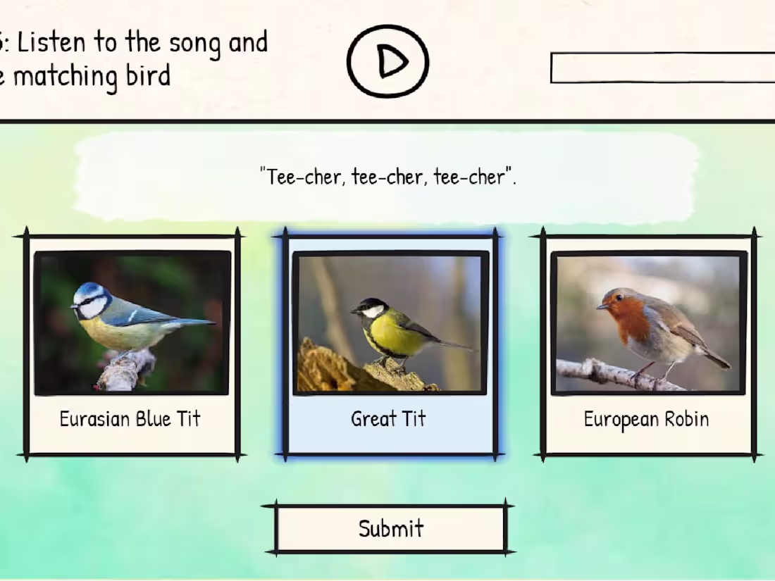 Cover image for BirdLingo - a birdsong learning game