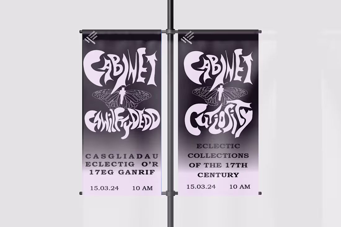 Cover image for Cabinet Curiosity