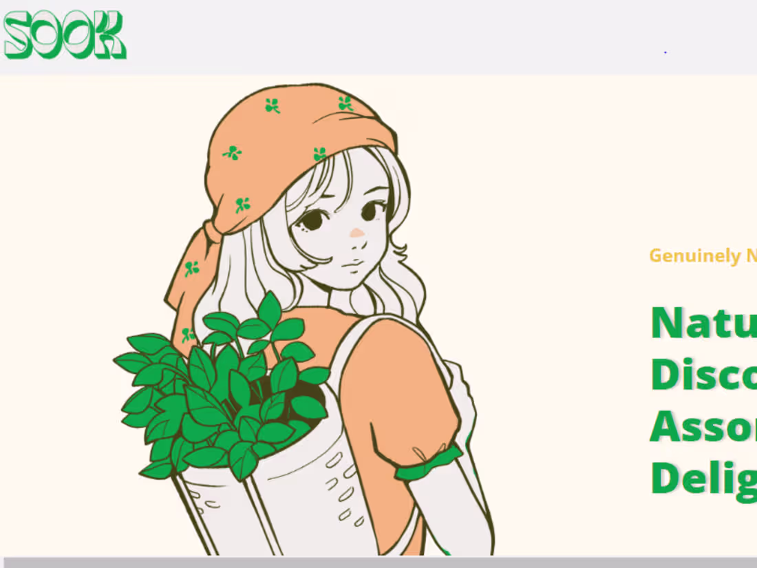 Cover image for SOOK - Organic Products