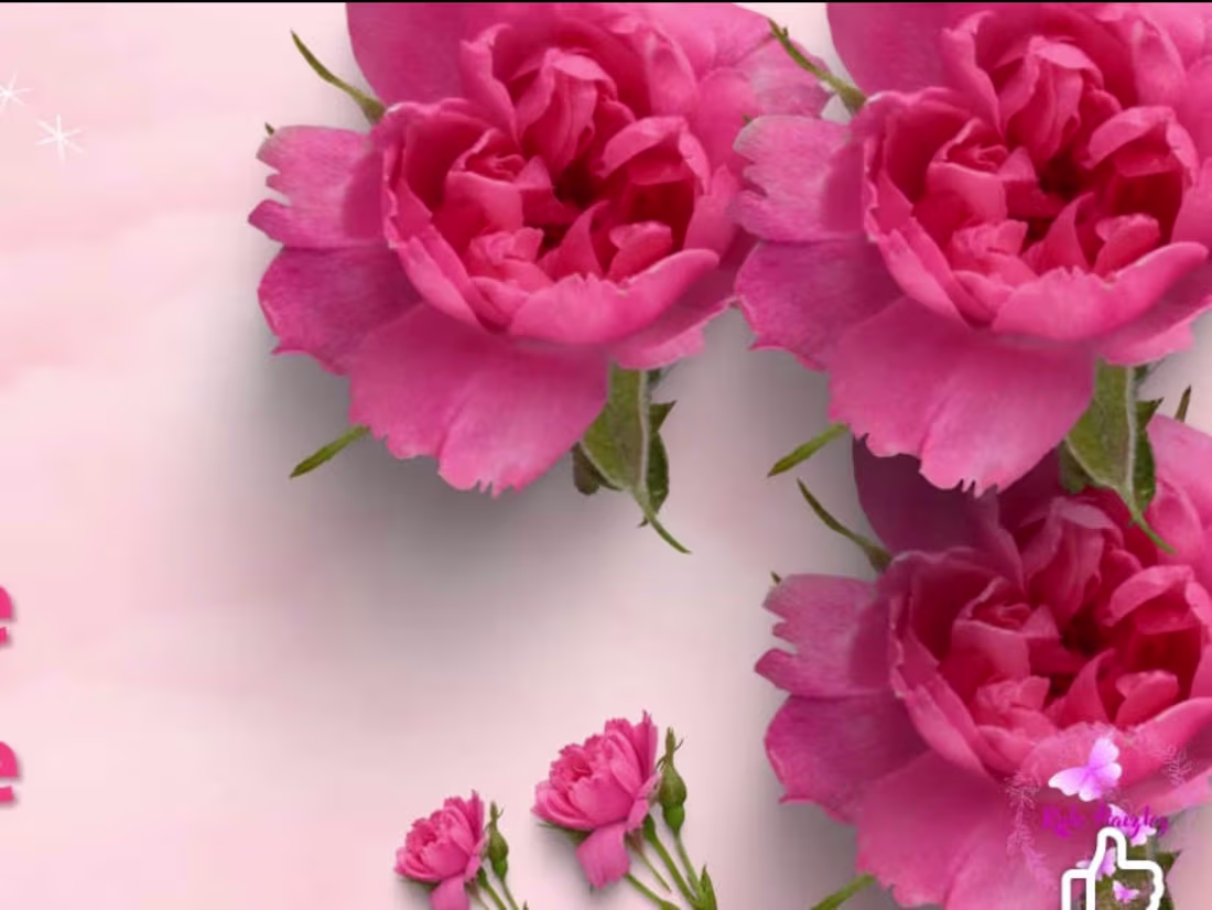 Cover image for Content Creator