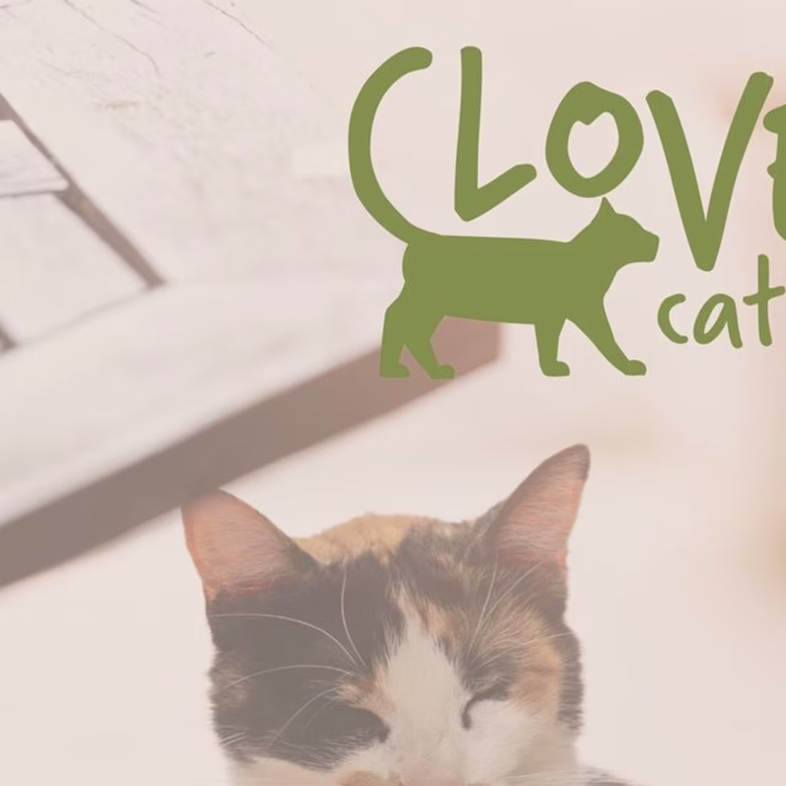 Cover image for Clover Cat Cafe