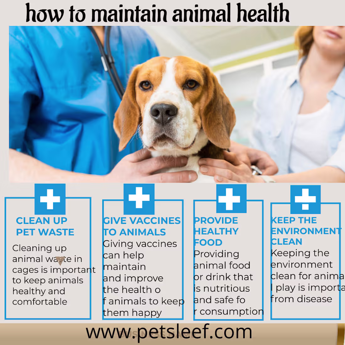 Cover image for professional infographics