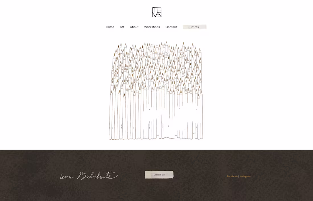 Cover image for Artist Squarespace Website & Webshop Design