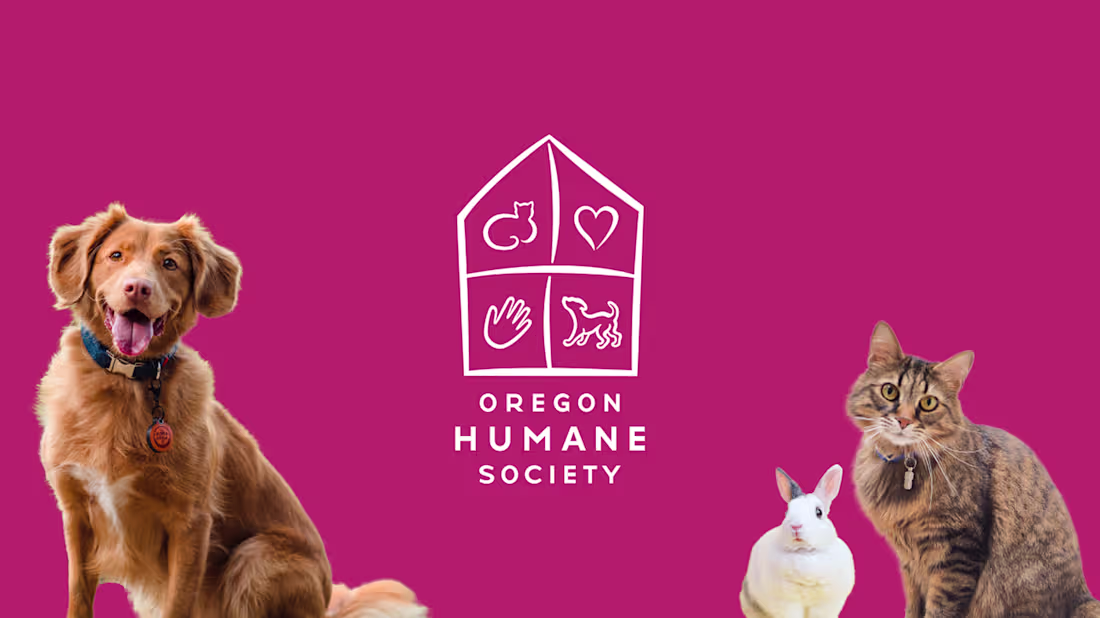 Cover image for Oregon Humane Society - Website Redesign