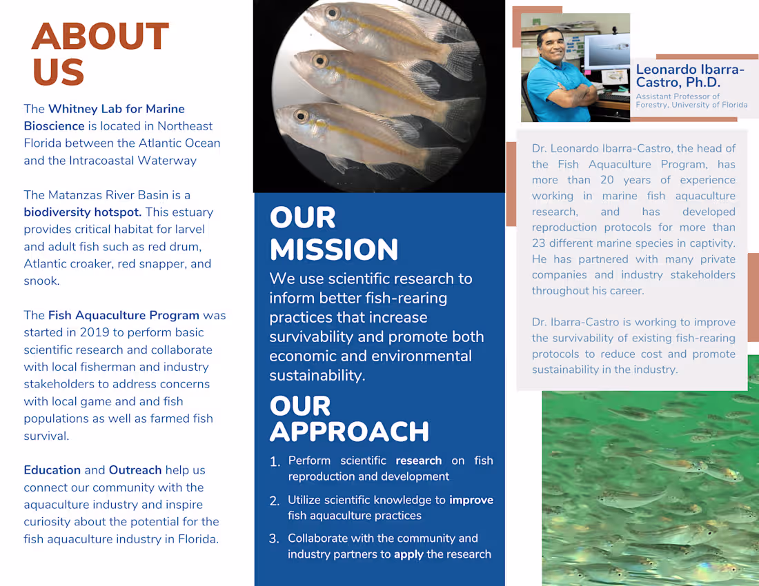 Cover image for Program Brochures - Aquaculture and Conservation 