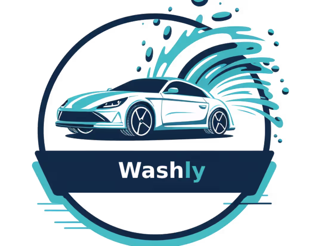 Cover image for Washly 