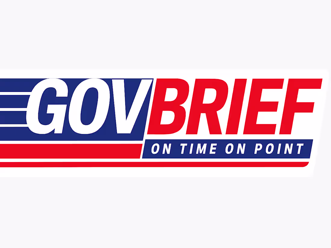 Cover image for GovBrief