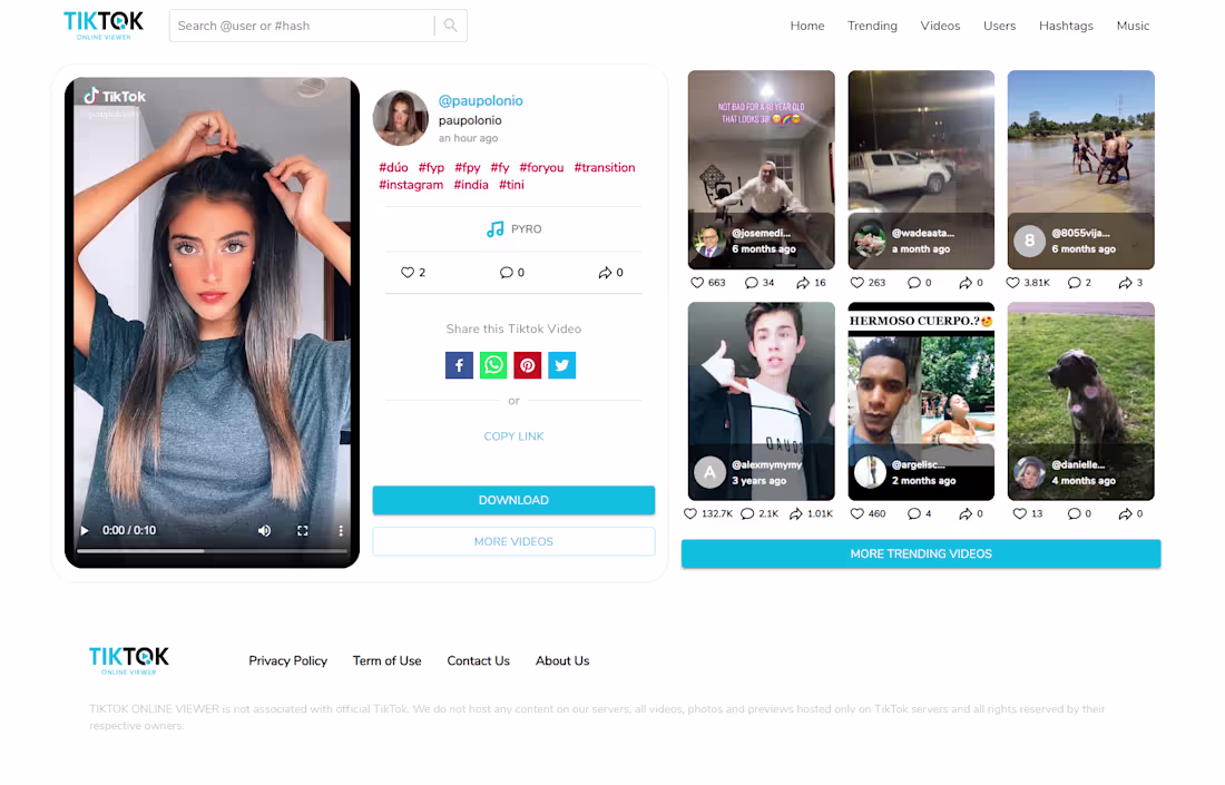 Cover image for Tiktok Online Viewer