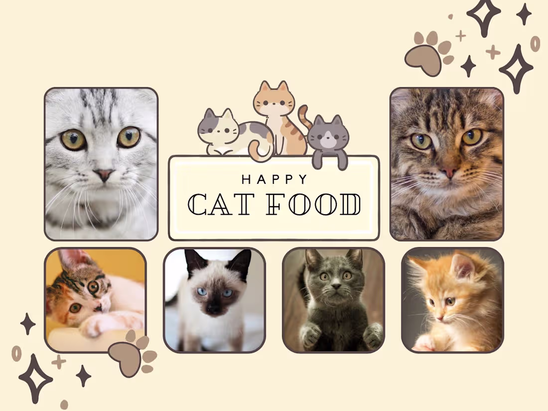 Cover image for 7 Ways to Keep Birds Away from Cat Food.pdf