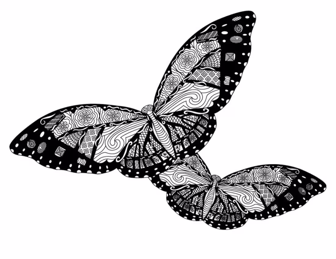Cover image for Double Butterfly Coloring Book Page