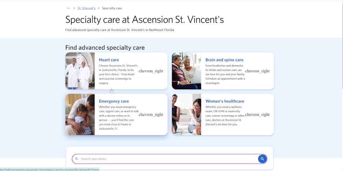 Cover image for Built and maintained a Shopify