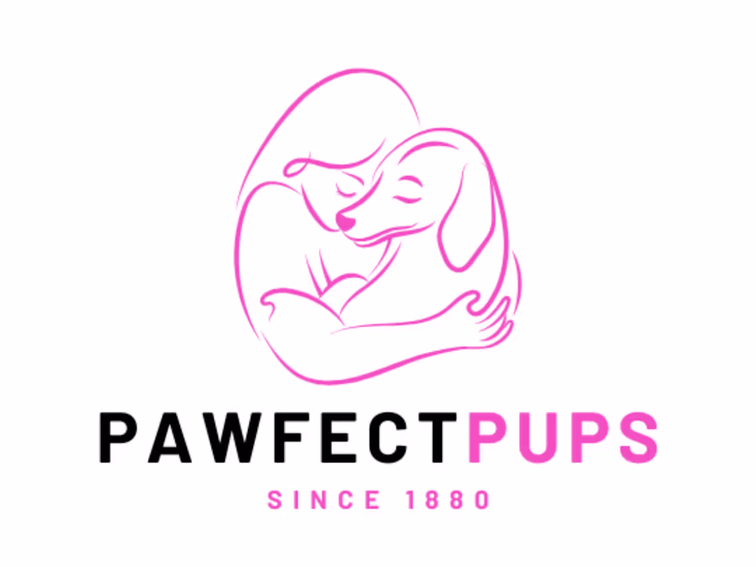 Cover image for Creative Logo Design Showcase