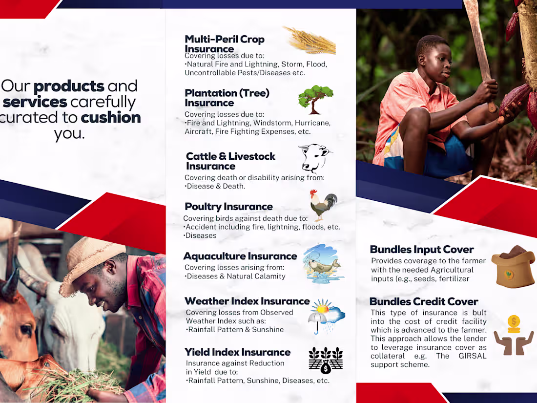 Cover image for Brochure