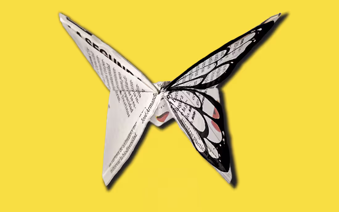 Cover image for Visualizing Cultural Diversity in Santa Fe