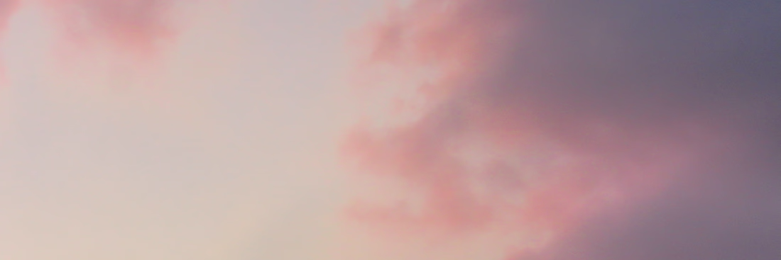 Cover image for Wills & Trusts