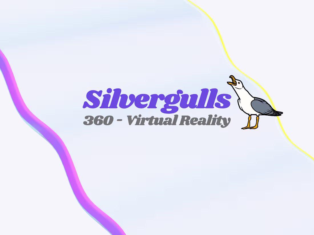 Cover image for Virtual Reality - Sky Pirates: The Seagulls of Sydney. 