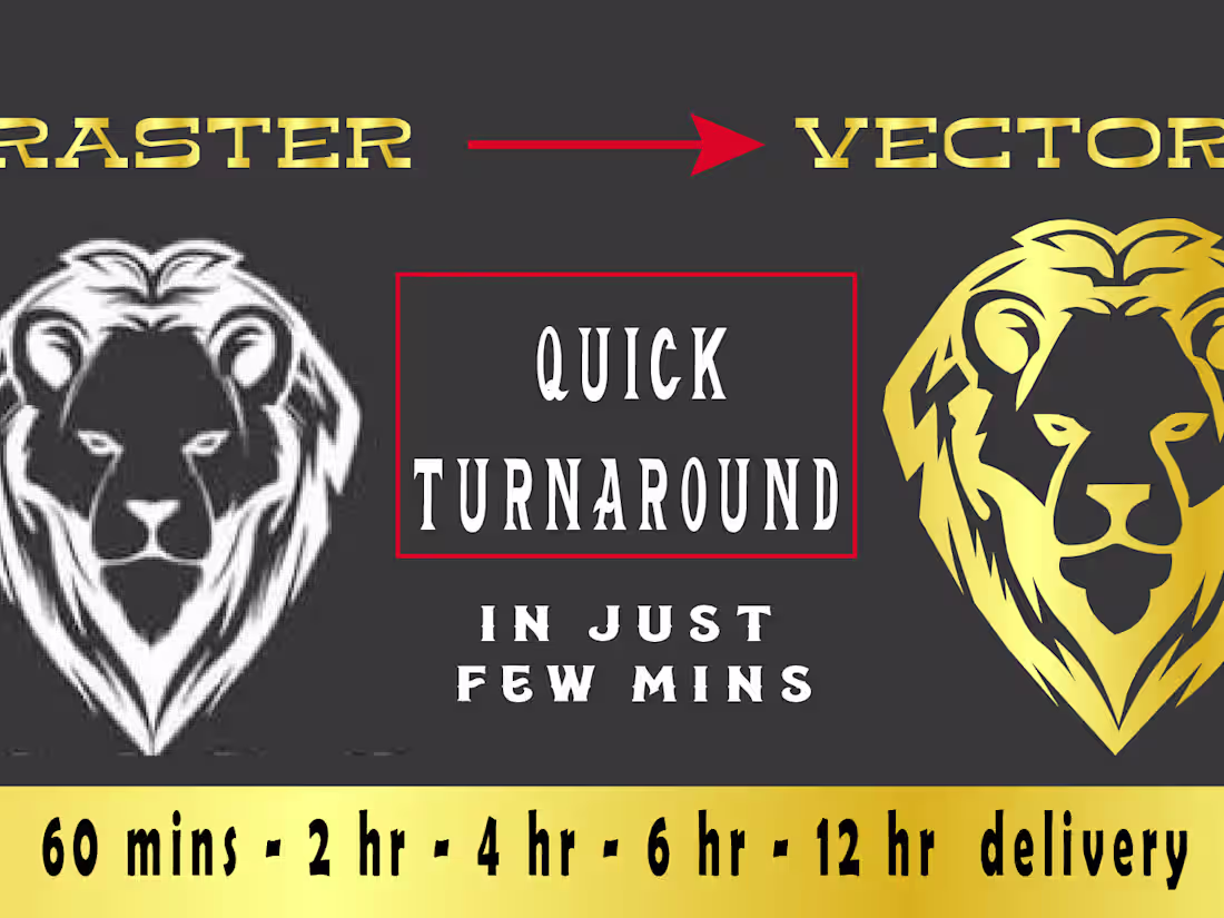 Cover image for RASTER to VECTOR converting