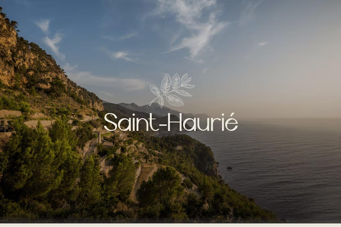 Cover image for Saint Haurié - Brand, web and 3D design