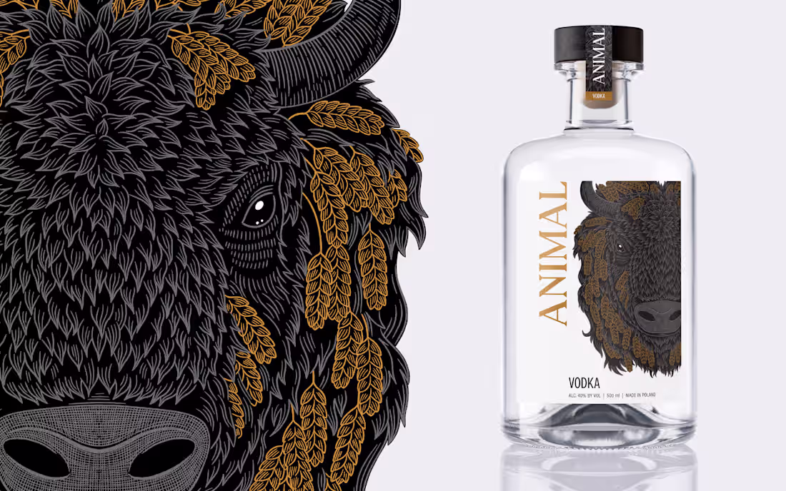 Cover image for A hand-drawn bison head created
