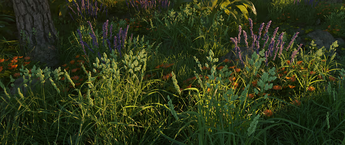 Cover image for 3D Environment