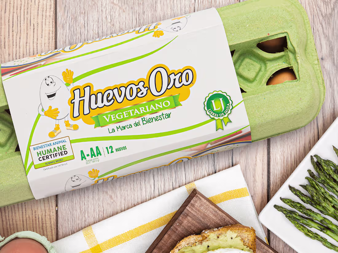 Cover image for Brand and Social Media Management