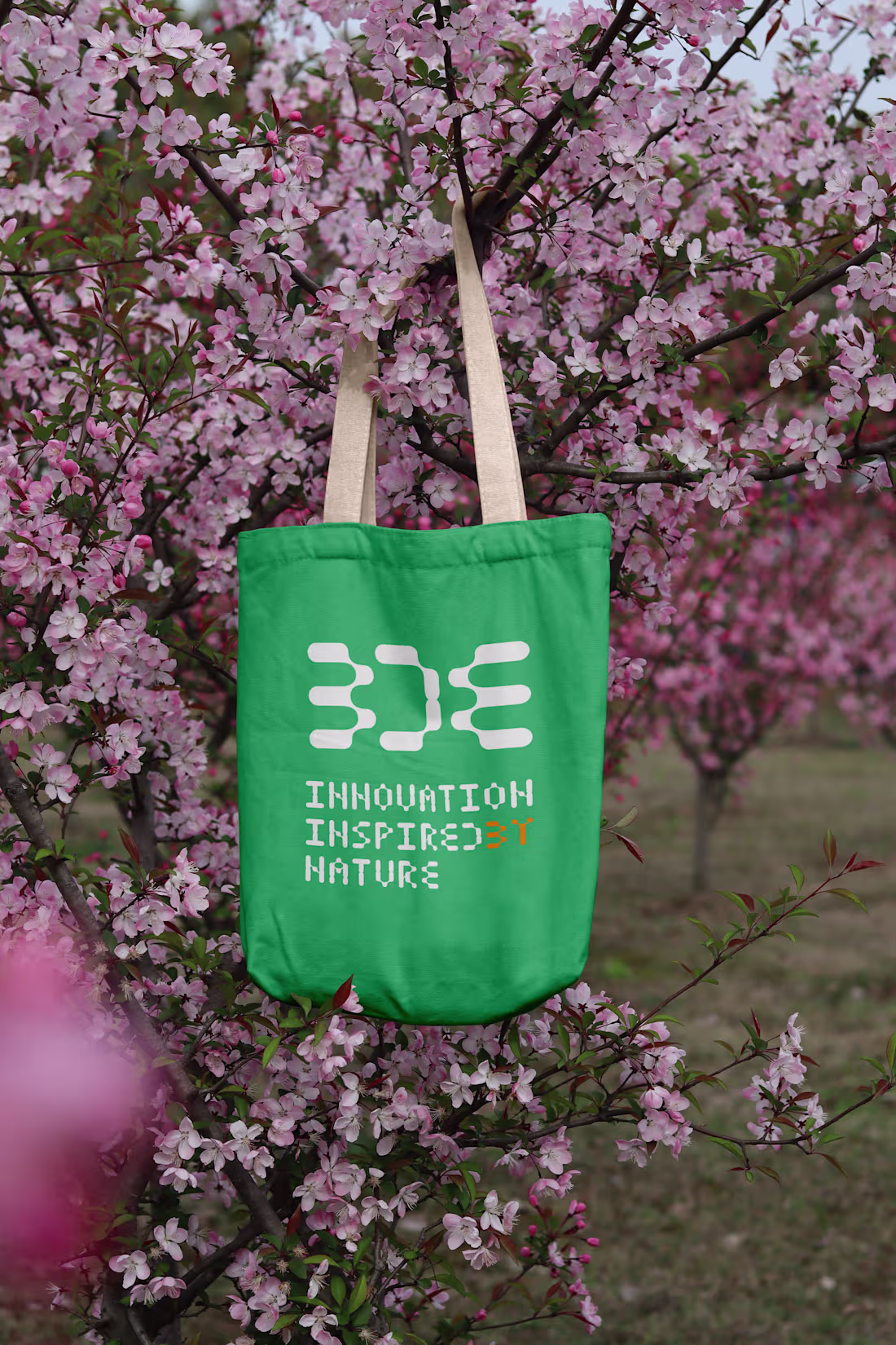 Cover image for Biomimetic Desing exhibition