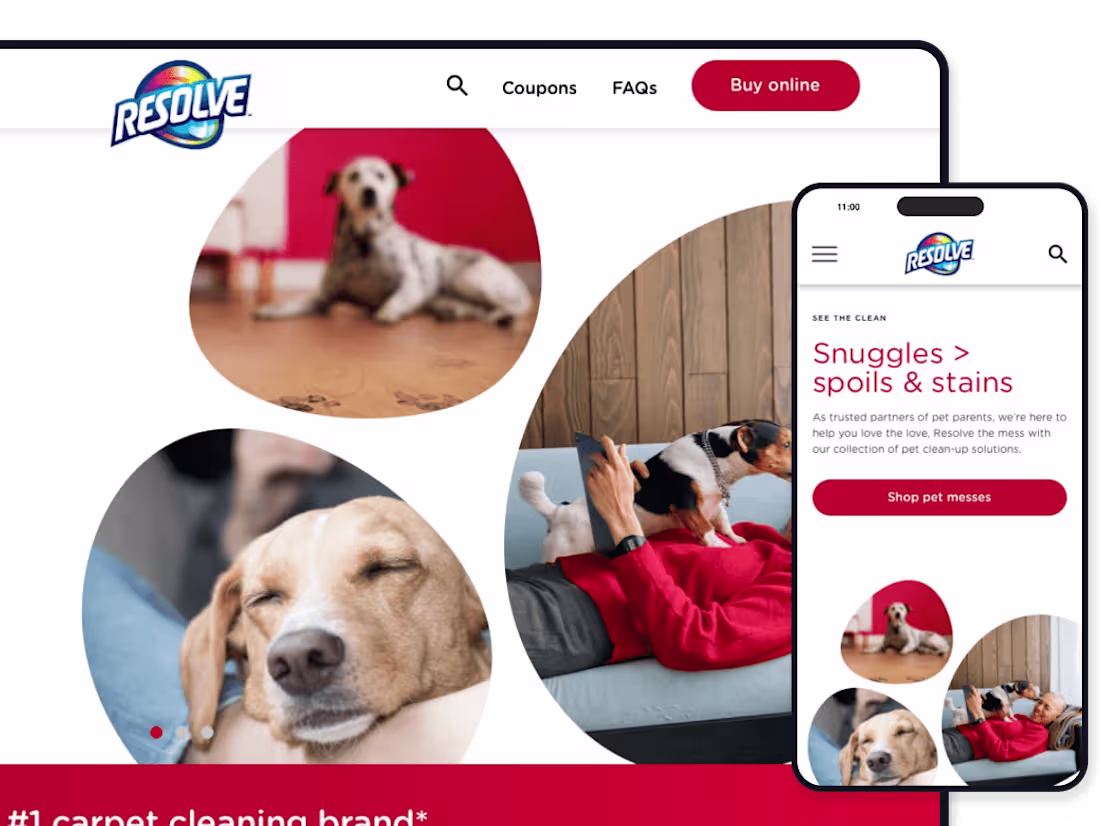 Cover image for resolve