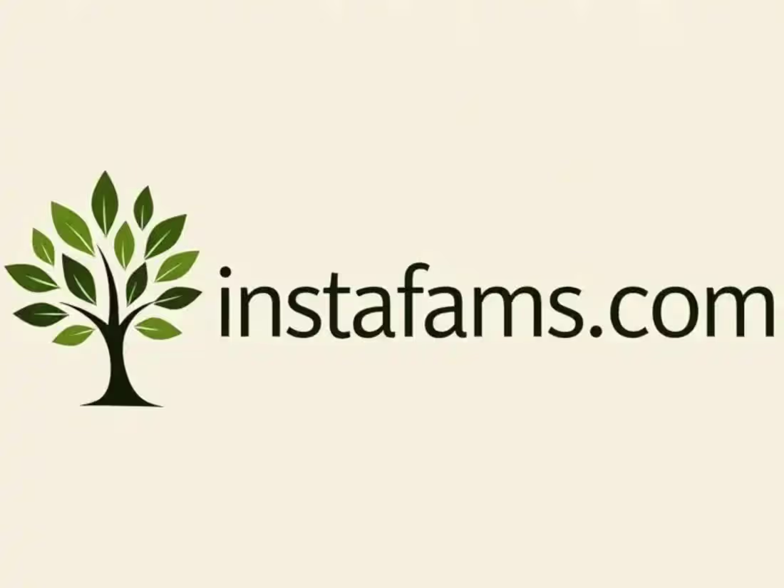 Cover image for instafams.com