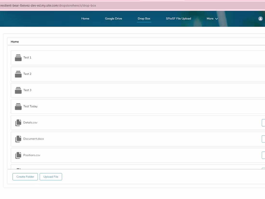 Cover image for Cloud Storage Integration with Salesforce