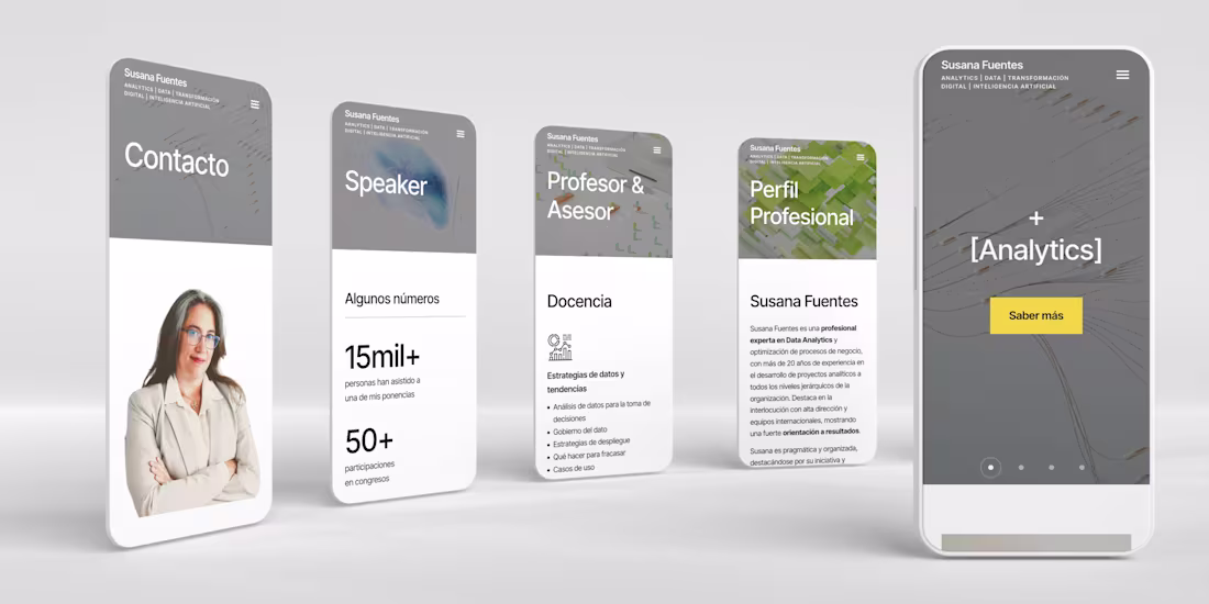 Cover image for Susana Fuentes