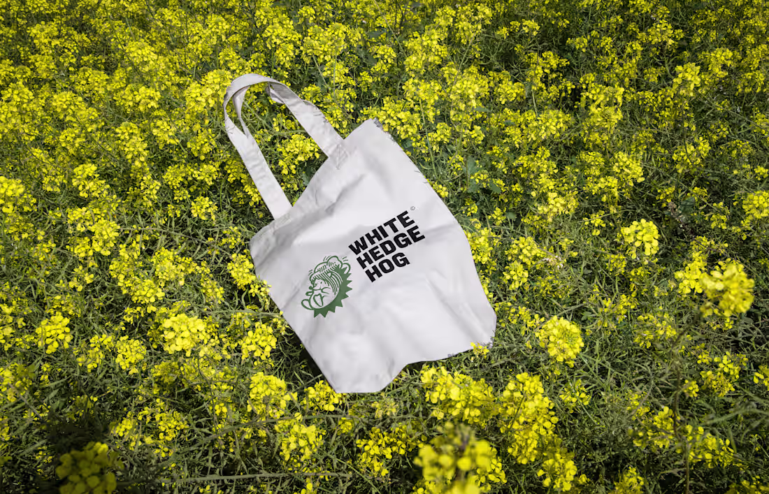 Cover image for White Hedgehog - Brand Identity