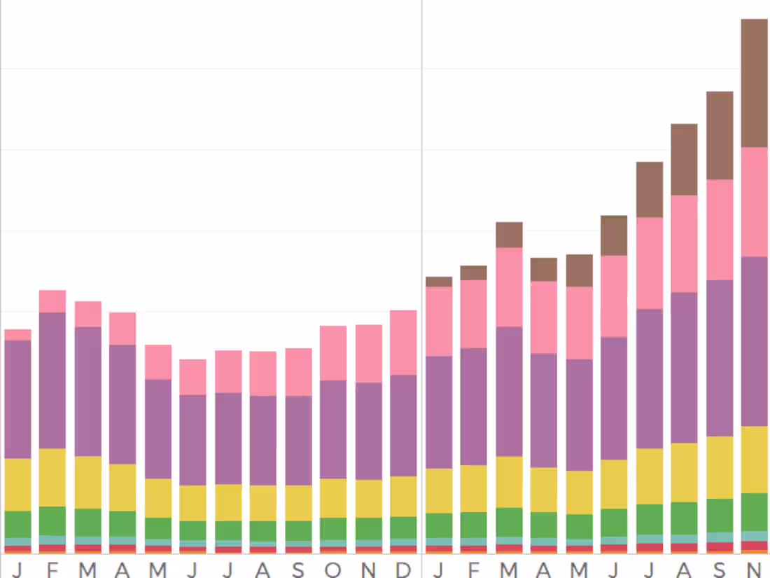 Cover image for Customer base audit