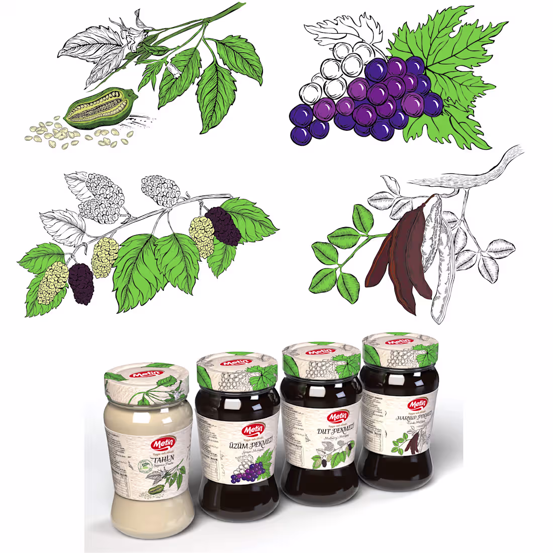 Cover image for Vector Illustrations