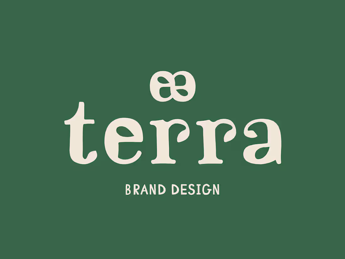 Cover image for Terra - Brand Identity Design
