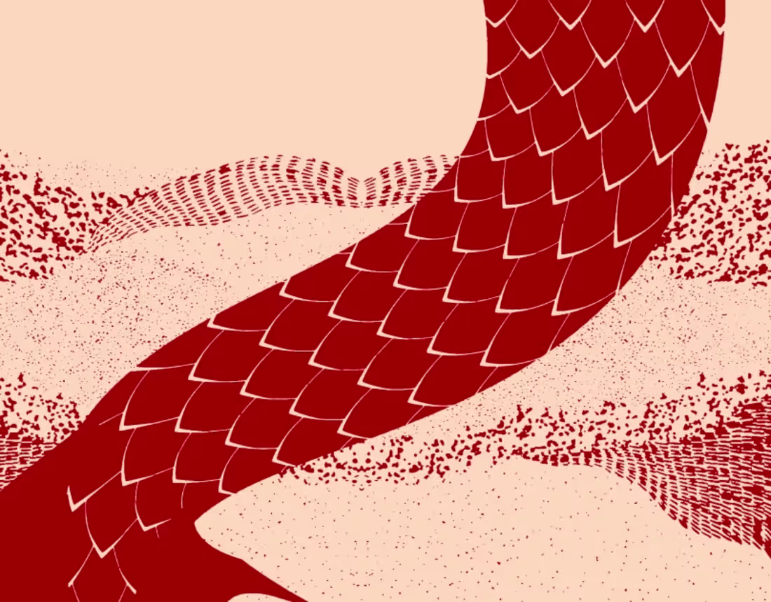 Cover image for Big screen animation in Shenzhu