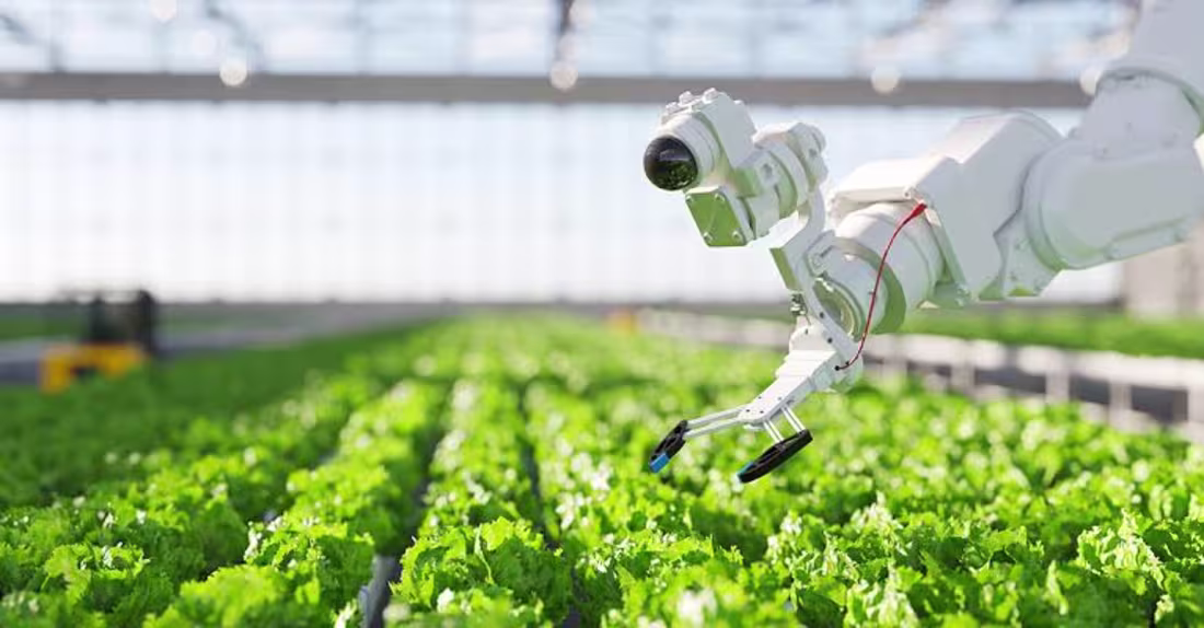 Cover image for Farms and Foods: AI’s Revolutionary Impact on Agro and Food.