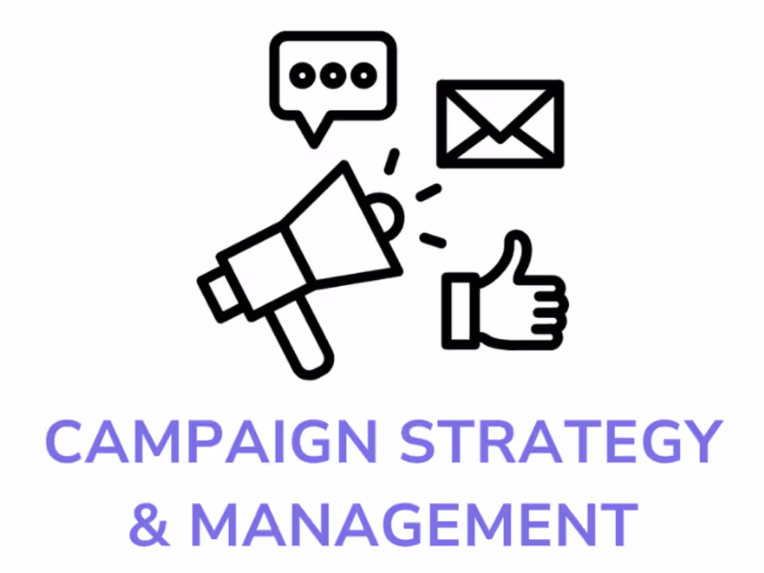 Cover image for Campaign Strategy and Management