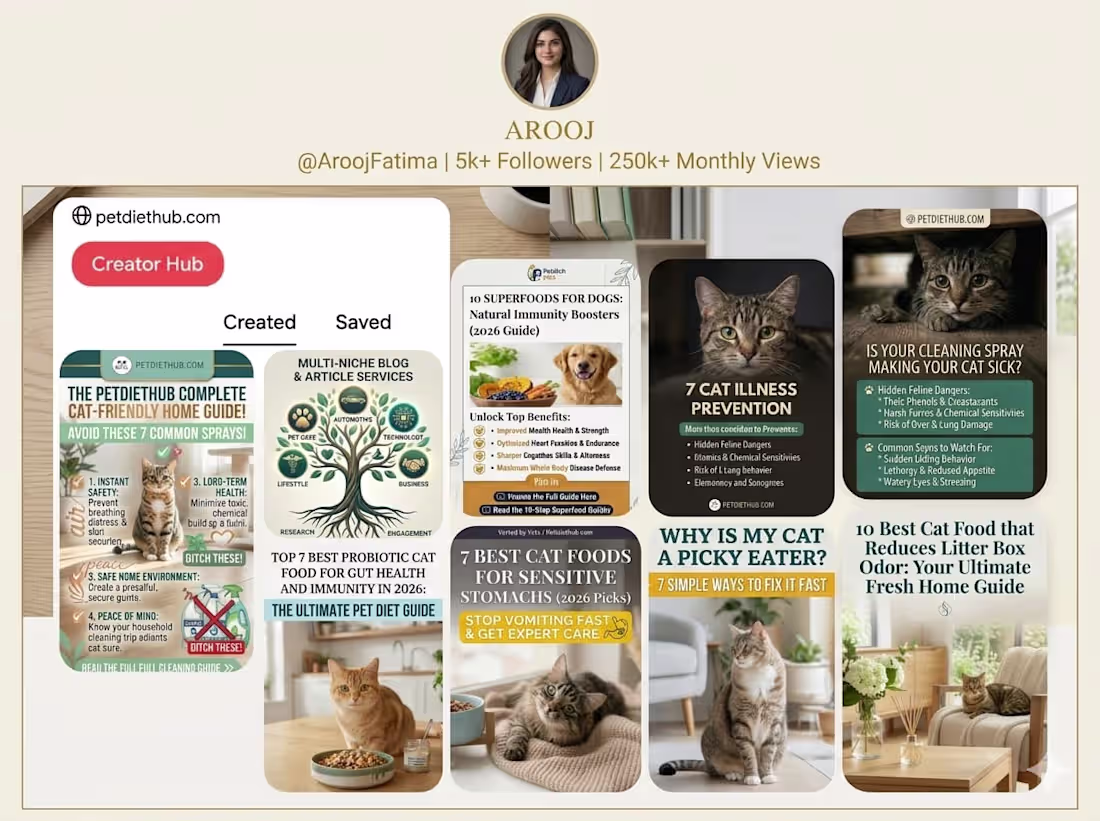 Cover image for Pinterest Growth Manager: Viral Pin Design & SEO Traffic
