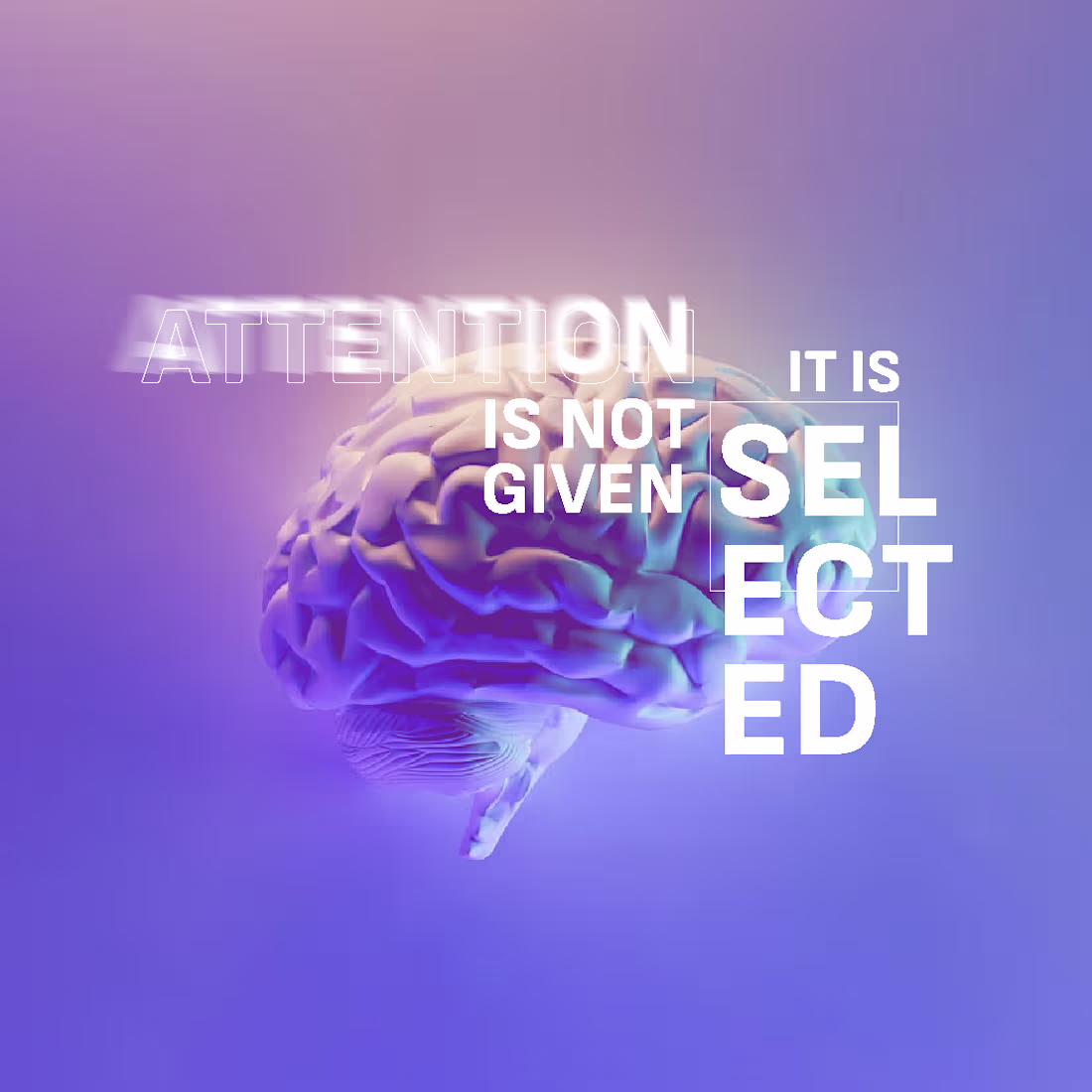 Cover image for In neuromarketing, attention is not