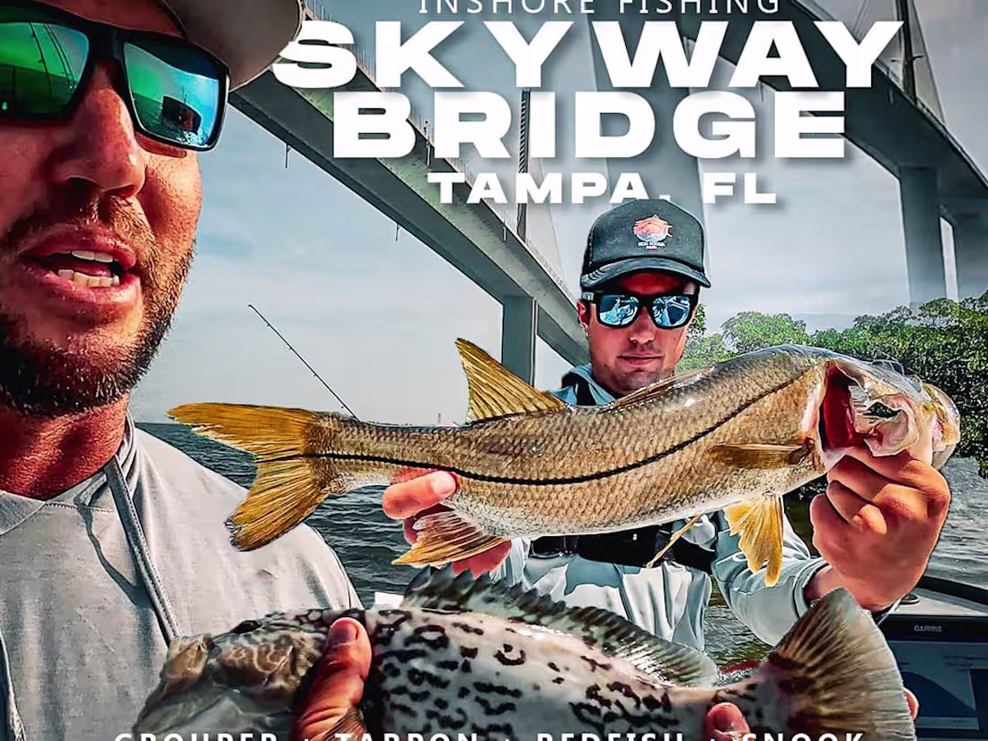 Cover image for Landed Fishing