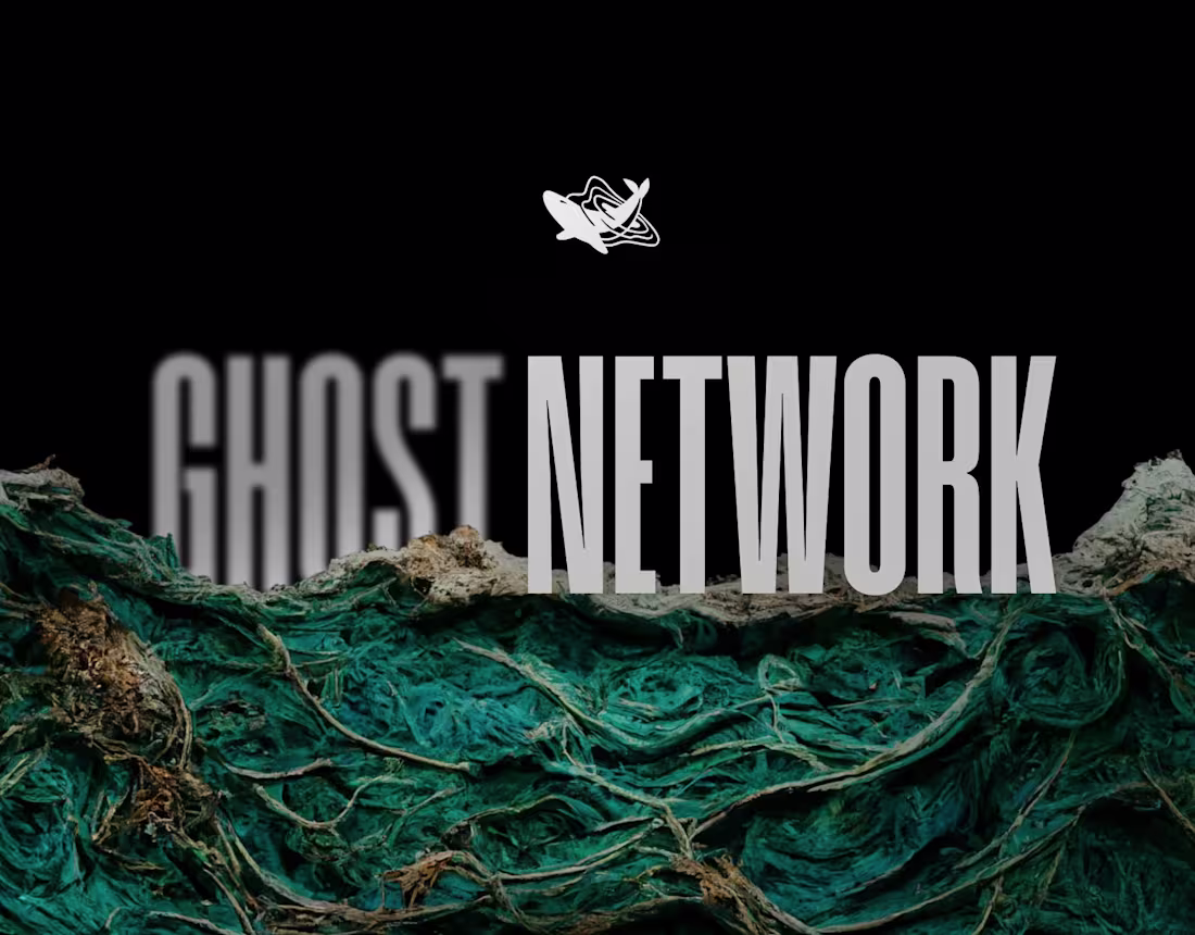 Cover image for Ghost Network by Sea Shepherd