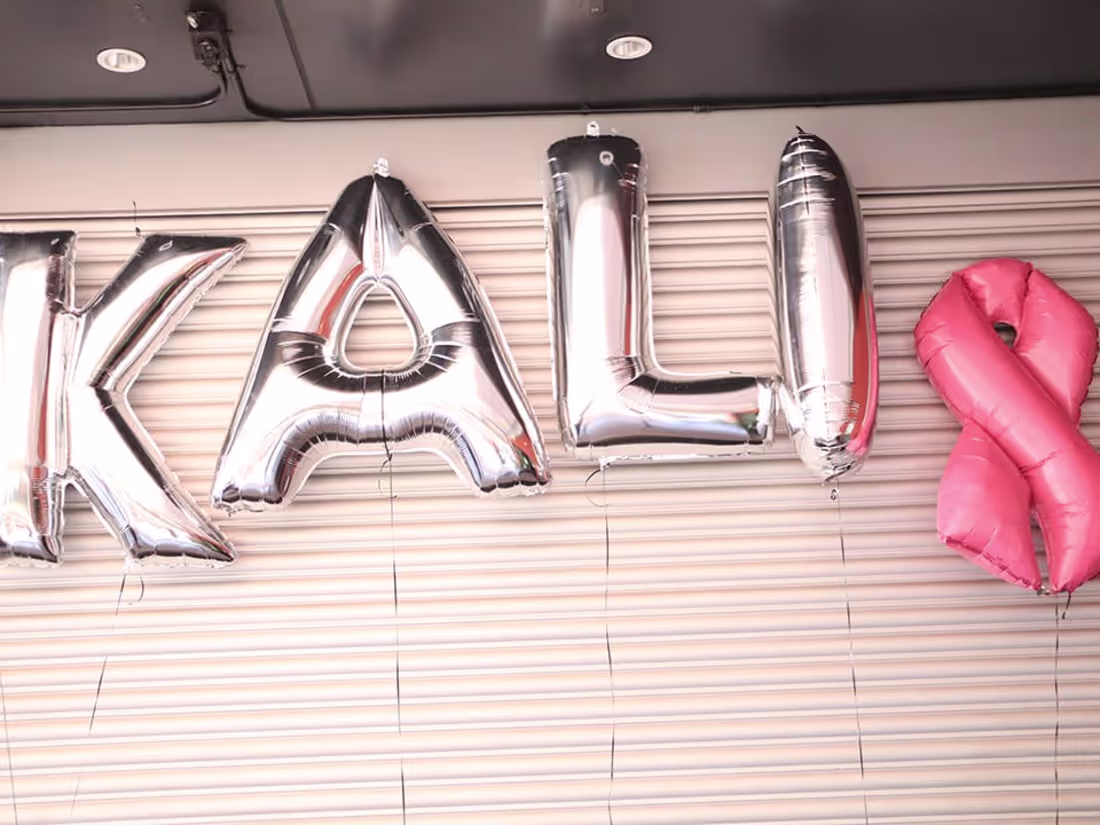 Cover image for PUNCHING FOR PINK