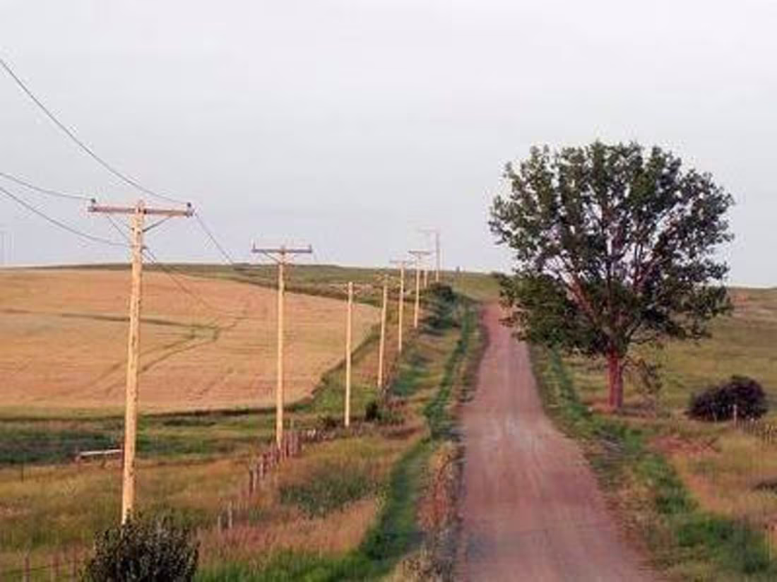 Cover image for ARCADIA DOGS // EXCERPT