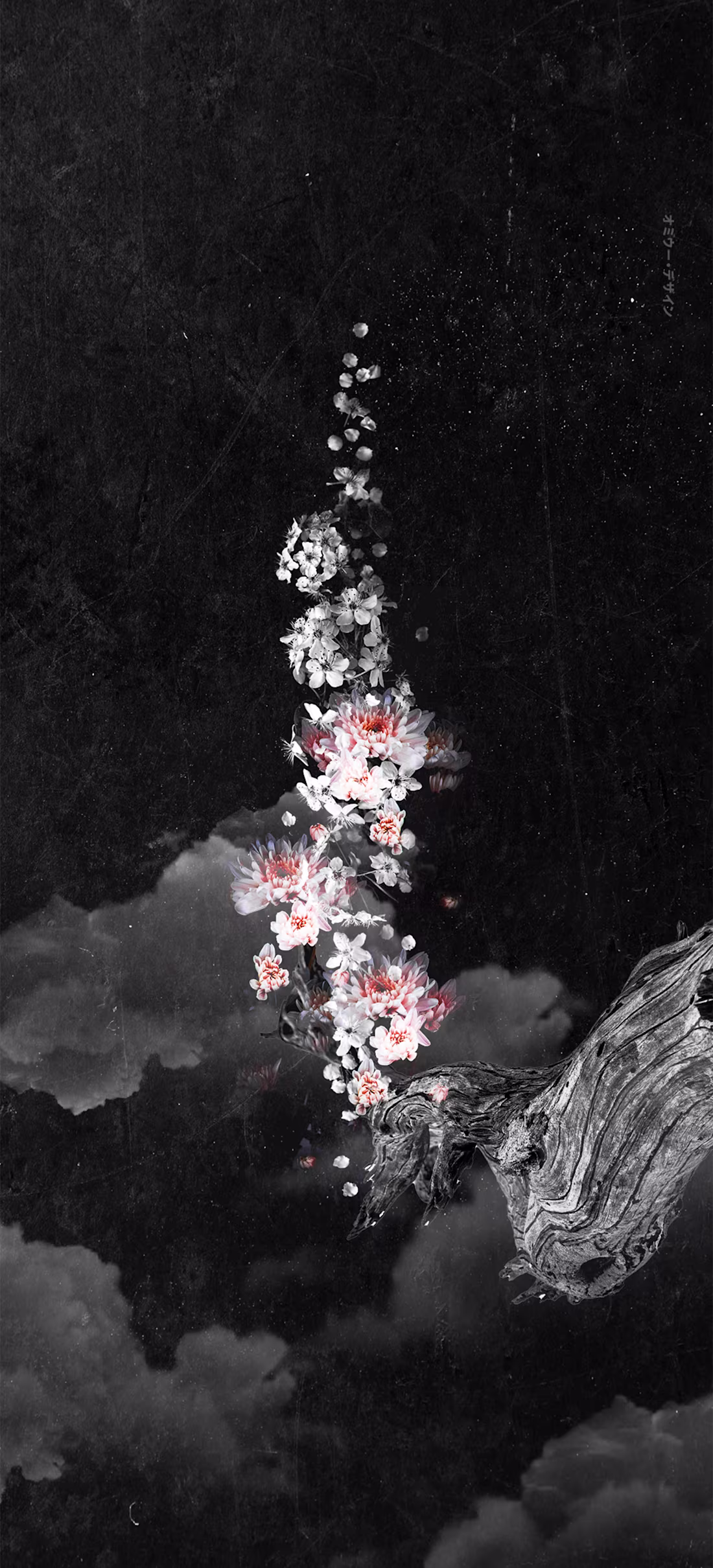 Cover image for VISUAL ARTWORK