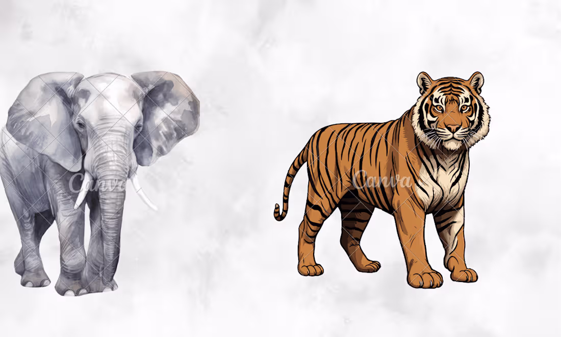 Cover image for graphic designer