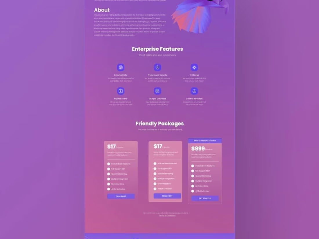 Cover image for Web Developer with code or WordPress Developer