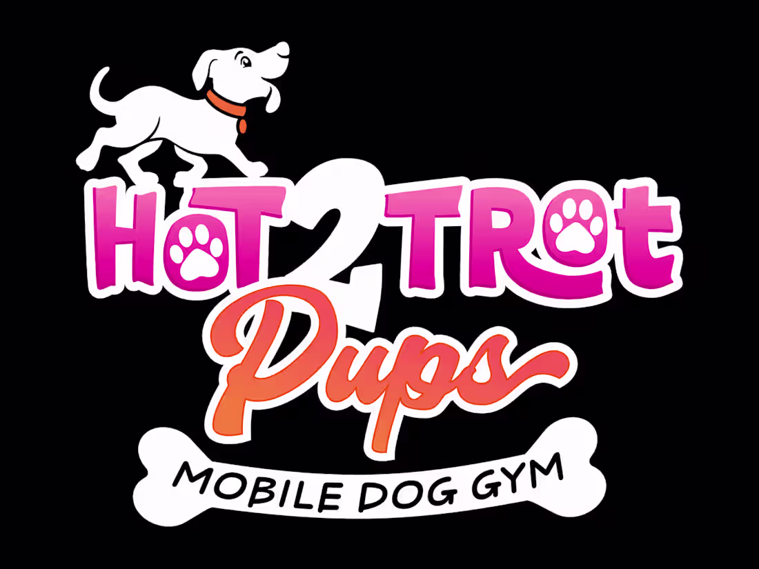 Cover image for Logo and Branding Design